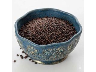 Buy Microgreen Seeds Online – Premium Sango Radish Seeds