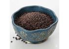 Buy Microgreen Seeds Online – Premium Sango Radish Seeds