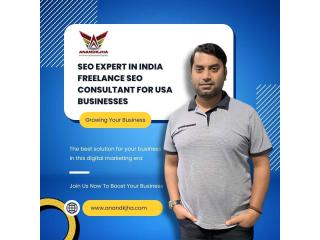 SEO Expert in India | Freelance SEO Consultant for USA Businesses