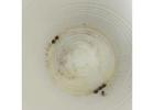 AquaPure Ghaziabad: Expert Deep Cleaning for Safe, Clean Water