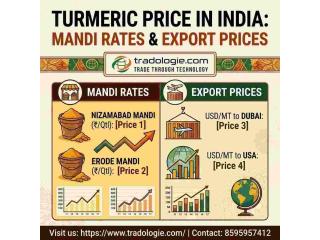 Turmeric Price in India: Mandi Rates & Export Prices | Tradologie