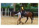 Horse Riding