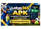 Lotus365 APK – Installation, Compatibility and Security Guide