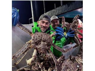 Live and Frozen King Crab for sale, Live/Frozen, RED King Crab, Alaskan King Crabs