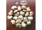 Explore Quality Raw Cashew nuts with R.K. Agro Processing