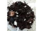Orchid Supplies for Hobby Growers and Passionate Plant Collectors