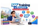 SAP Training in Bangalore for Career-Focused Learning