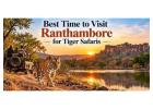 Best Time to Visit Ranthambore for Tiger Safaris