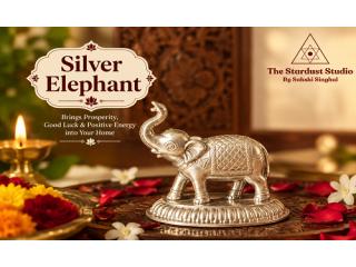 Buy Silver Elephant Online at Best Price | The Stardust Studio