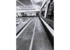 Professional Swim School Cleaning Melbourne – Clean, Safe and Hygienic Swimming Facilities