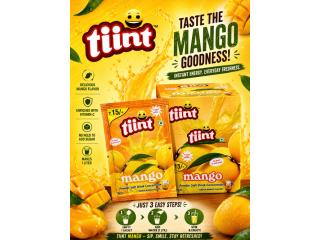 Bulk Supply Mango Flavour Premix – Quality Beverage Premix Supplier in India