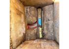 Guildford Emergency Drain Clearance and Root Removal Services