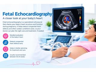 Fetal Echocardiography – Fetal India