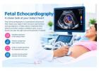 Fetal Echocardiography – Fetal India