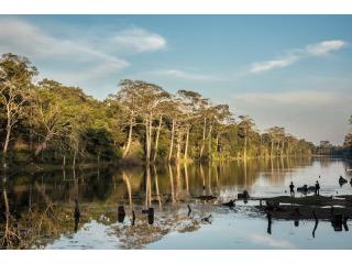 Explore Sandoval Lake Tambopata in 3 Days – Book Your Jungle Tour