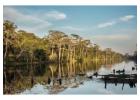 Explore Sandoval Lake Tambopata in 3 Days – Book Your Jungle Tour