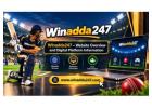 Winadda247 – Website Overview and Digital Platform Information