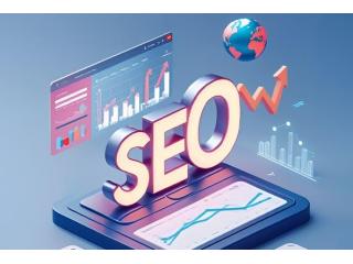 Best SEO Company in the USA - SEO Services | Zigboxx Studios