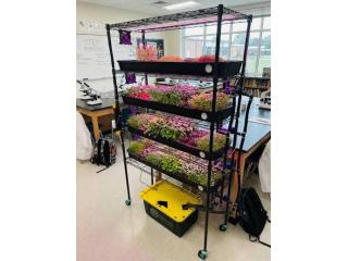 Farming The Future: Vertical Hydroponic Tower for Classroom Learning