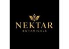 Exploring Traditional Botanicals & Herbal Preparations