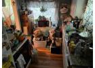 Make Room for What Matters with Estate Cleanout Services in Cleveland