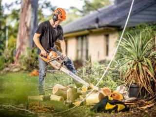 Tree Removal Service in Unley | Skilled Tree Care