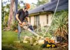 Tree Removal Service in Unley | Skilled Tree Care