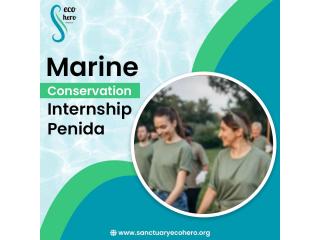 Marine Conservation Internship Penida