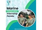 Marine Conservation Internship Penida