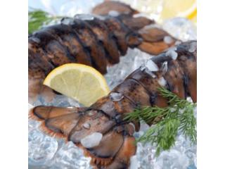 Maine Lobster Tails for Sale Freshly Shipped to Your Door