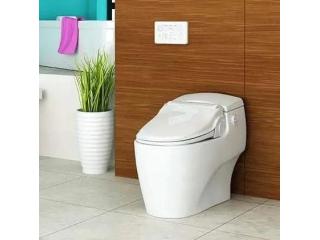 Enhance Everyday Hygiene with a Modern Bidet Toilet Seat