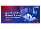 Data Principal Rights for Modern Privacy Compliance