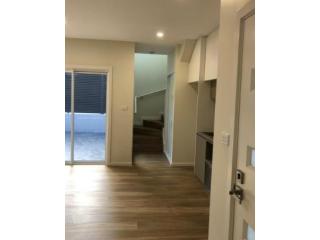 Refresh Your Home with Expert Residential Painting