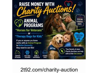 Raise Money Fast with a Free Online Charity Auction