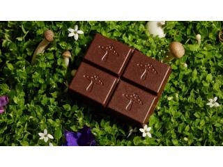 Best Websites To Buy Mushroom Chocolate Bar