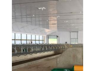 Consider Installing Duramax Vinyl Panels for Water-Resistant Horse Stalls