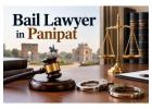 How Can a Bail Lawyer in Panipat Help You Secure Bail Quickly? 