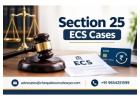 What Should You Know About Section 25 ECS Cases and Legal Defence?