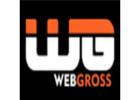 Digital Marketing Company in Delhi | Webgross Solutions