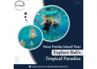 Nusa Penida Island Tour – Explore Bali’s Tropical Paradise