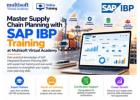 Master Supply Chain Planning with SAP IBP Training at Multisoft Virtual Academy