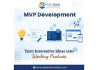 MVP Development – Turn Innovative Ideas into Working Products
