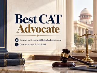 How Can the Best CAT Advocate Help Resolve Government Service