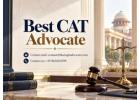 How Can the Best CAT Advocate Help Resolve Government Service 