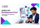 Mobile App Development Cost: Key Budget Factors