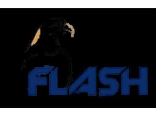 Conveyor Systems & Material Handling Solutions UAE - Flash
