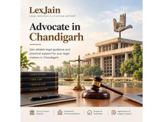 Reliable Legal Guidance for Your Legal Matters in Chandigarh