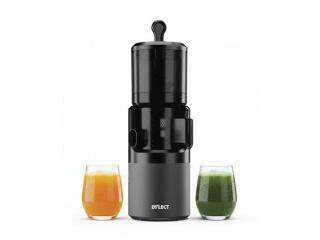 Bring Home a Dylect Slow Juicer for Fresh Homemade Blends