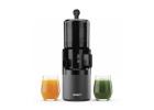 Bring Home a Dylect Slow Juicer for Fresh Homemade Blends