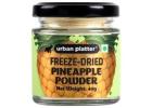 Buy Urban Platter Fruit Powder for Convenient Everyday Recipes